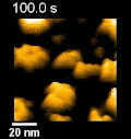 Right Image
